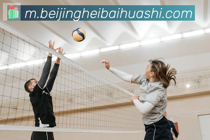 开云kaiyun网页版平台生态图