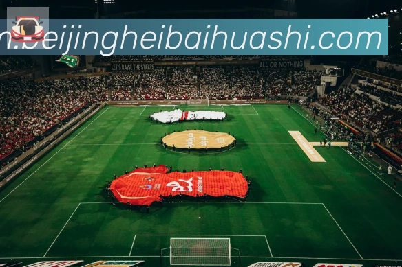 开云kaiyun网页版荣誉