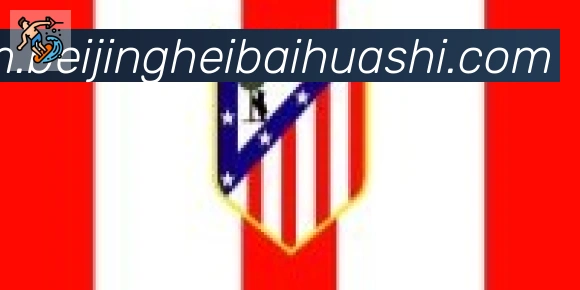 开云kaiyun网页版合作伙伴