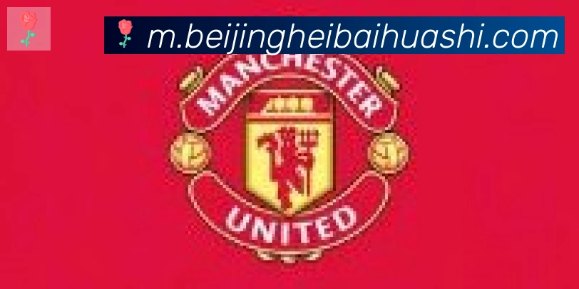 开云kaiyun网页版合作伙伴